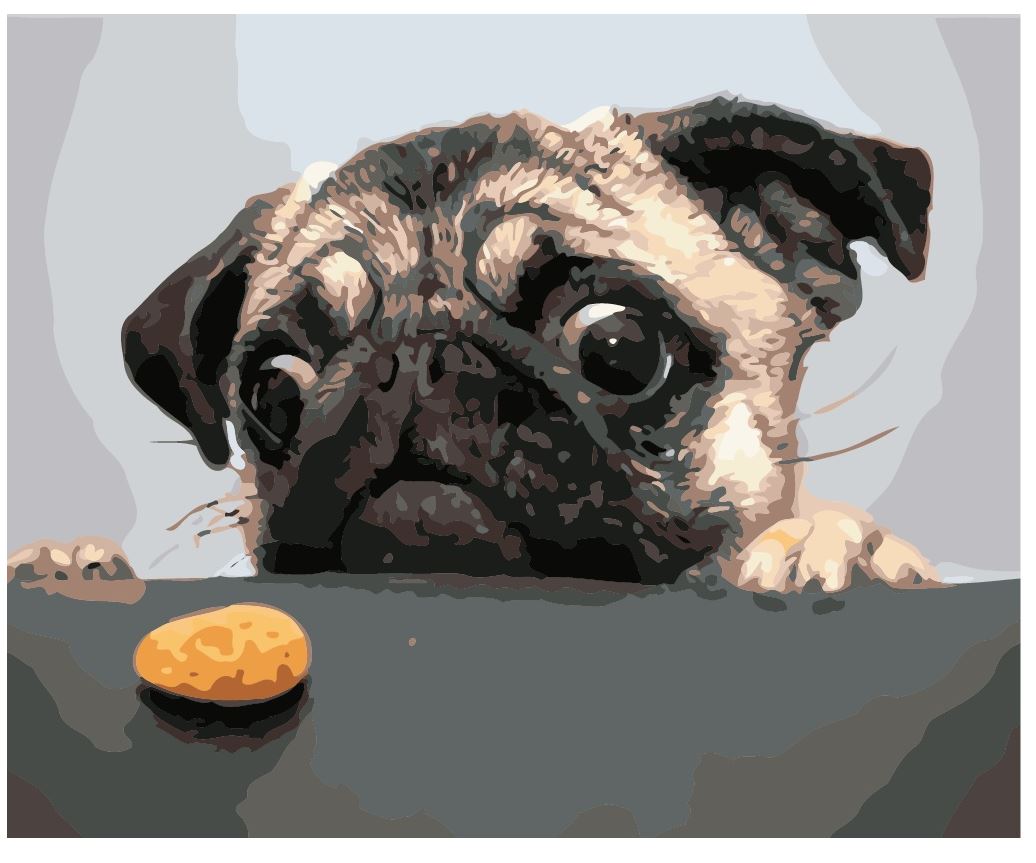 Un biscuite delicios 40x50 cm 06582