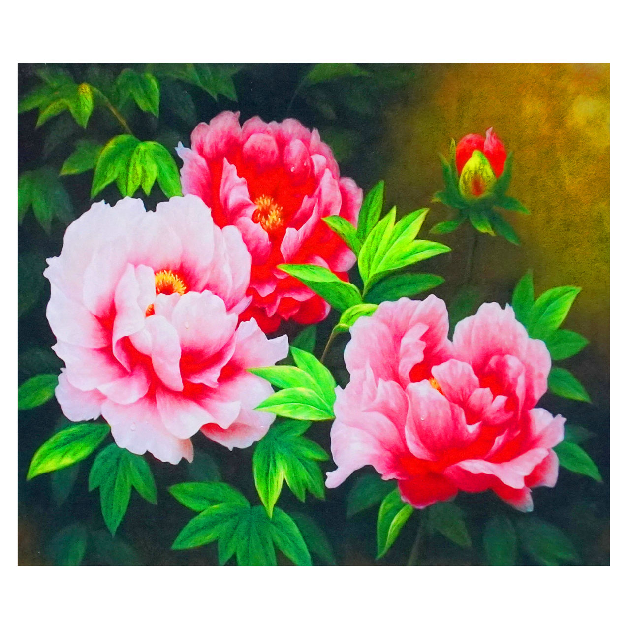 Bujori 40x50 cm 73031