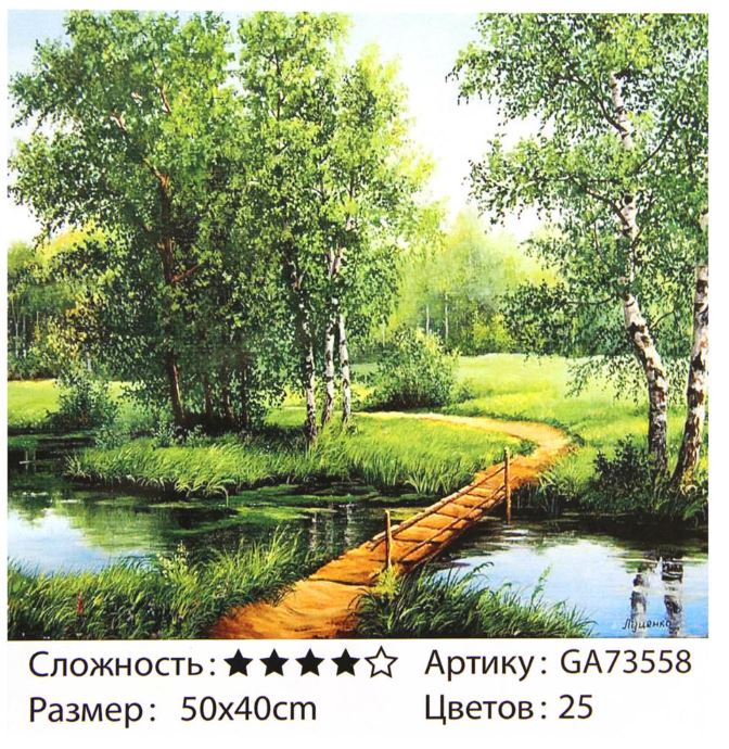 Cărare in pădurea de mesteacăni 40x50 cm 73558