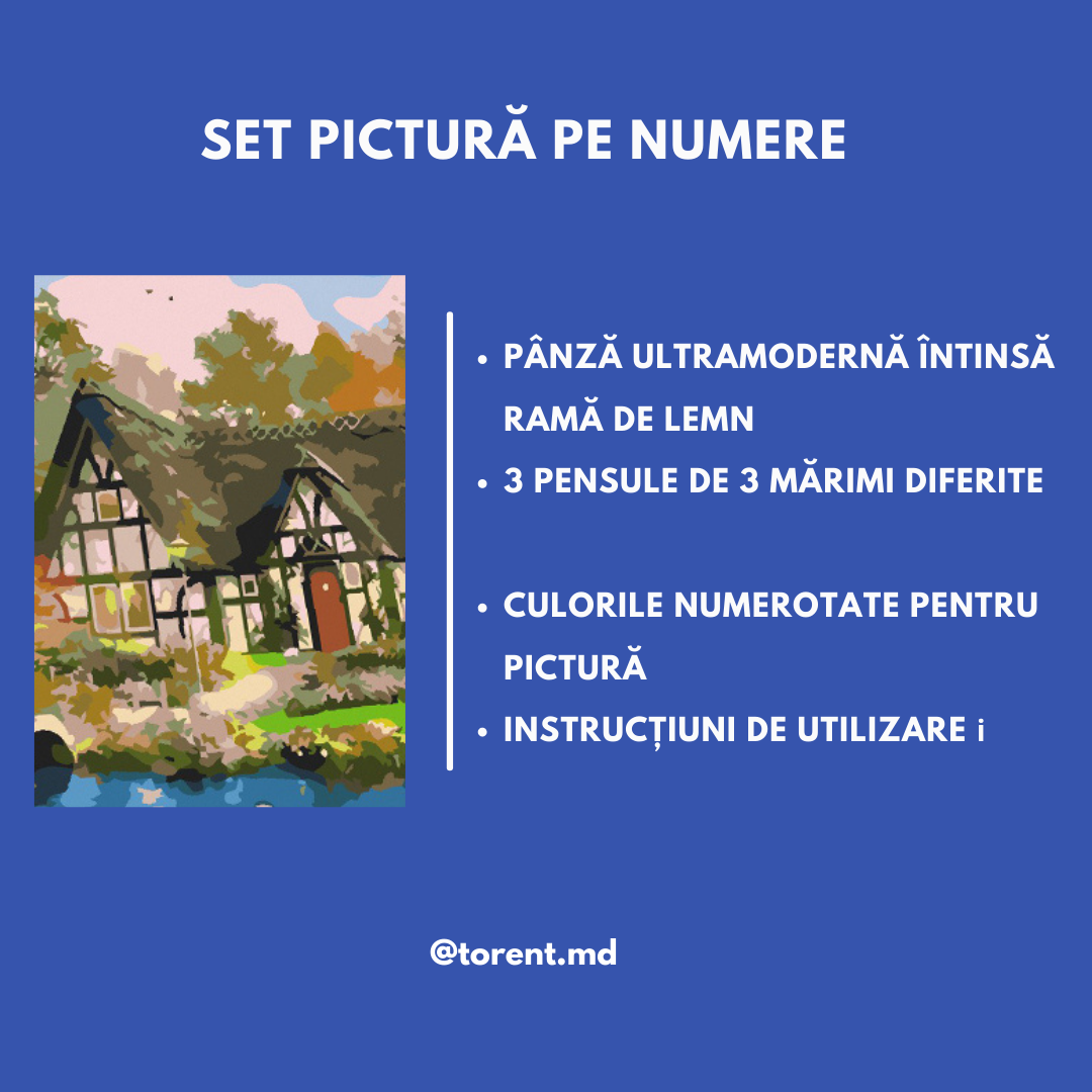 Kung Fu Panda 2140, pictura pe numere 30x40 cm
