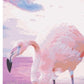 Flamingo 2249, pictura pe numere 30x40 cm