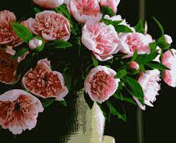 Bujori roz marime 40x50 cm