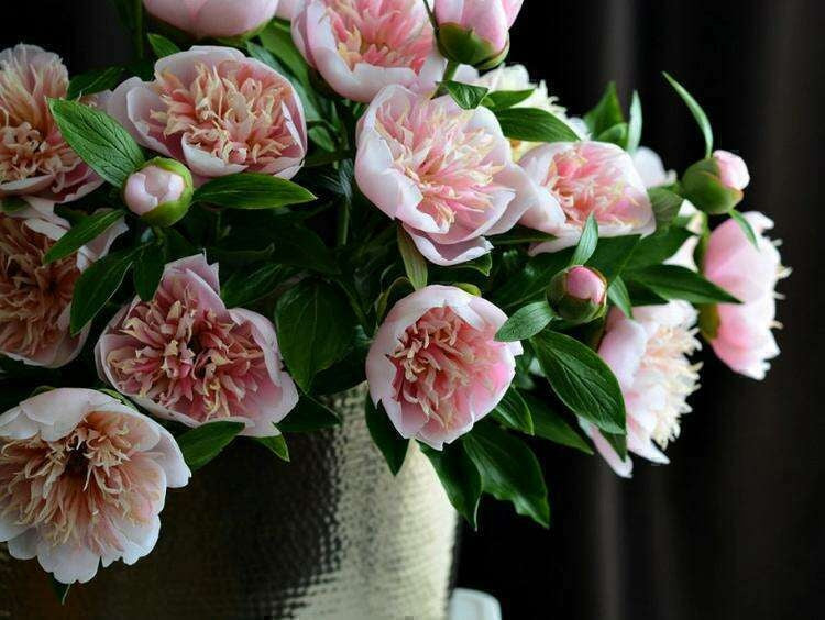 Bujori roz marime 50x60 cm
