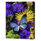 Fluturele magnific 40x50 cm